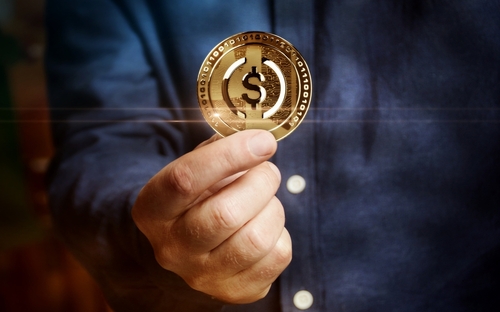 Stablecoin Income: Bridging Volatility and Stability in Crypto | Credits: Shutterstock