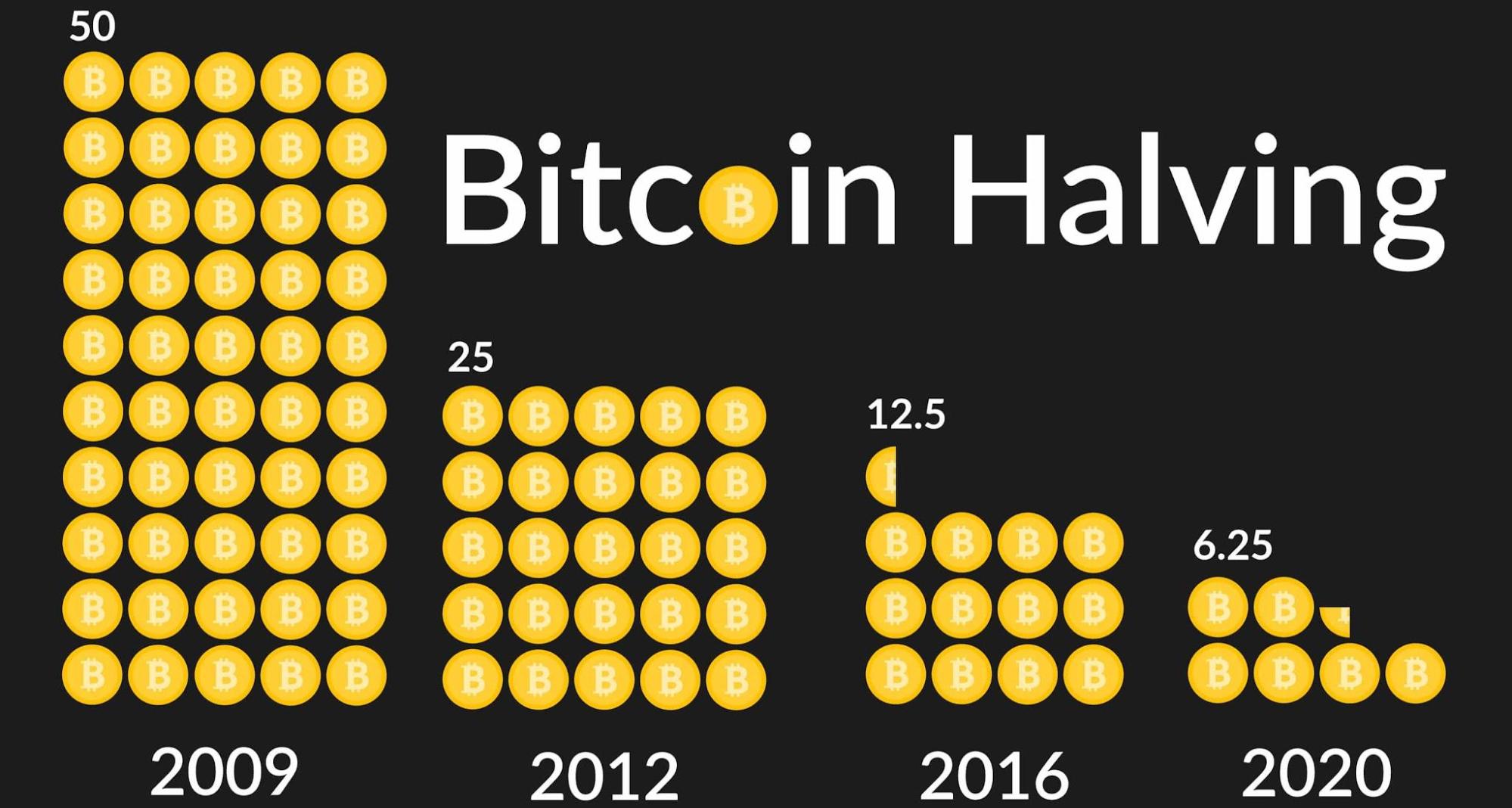 Bitcoin halving infographic for decentral publishing