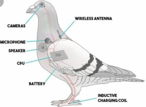 Surveillance state graphic of pigeon with various electrical elements within for decentral publishing