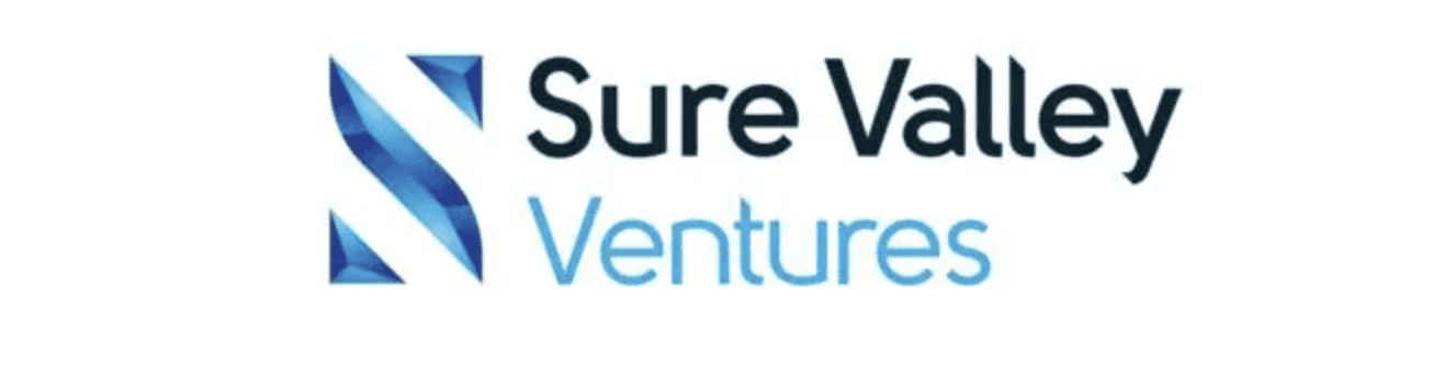 VC firms investing in the metaverse sure valley ventures for decentral publishing