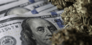 blockchain can disrupt the legal cannabis industry 100 dollar bill next to cannabis plant for decentral publishing