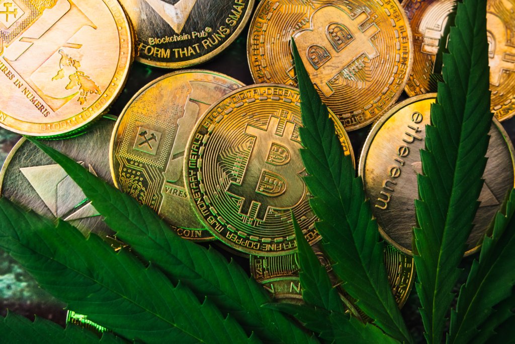 crypto coins with cannabis leaf for decentral publishing