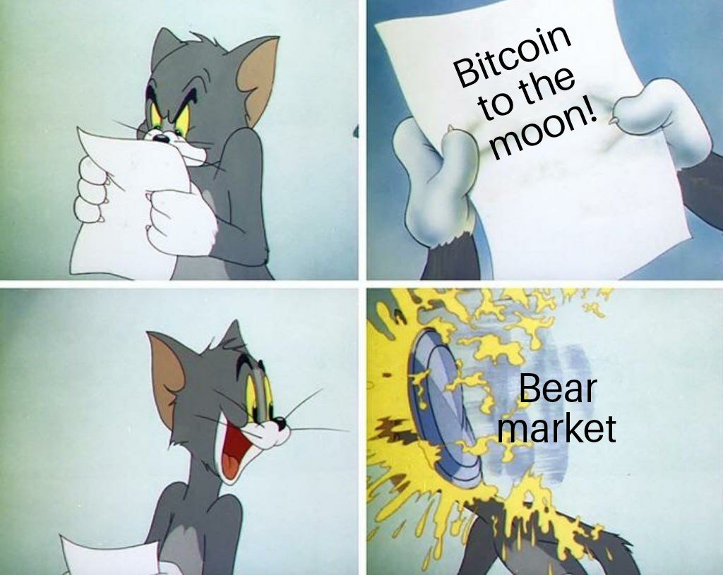 crypto history with tom from tom and jerry reading a note saying bitcoin to the moon before being hit with a pie called bear market decentral publishing