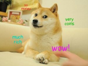 crypto meme of shiba inu dog looking skeptical by Emily Weber for Decentral Publishing