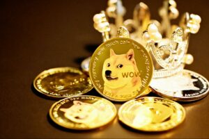 dog coin coins with dogecoin log on them