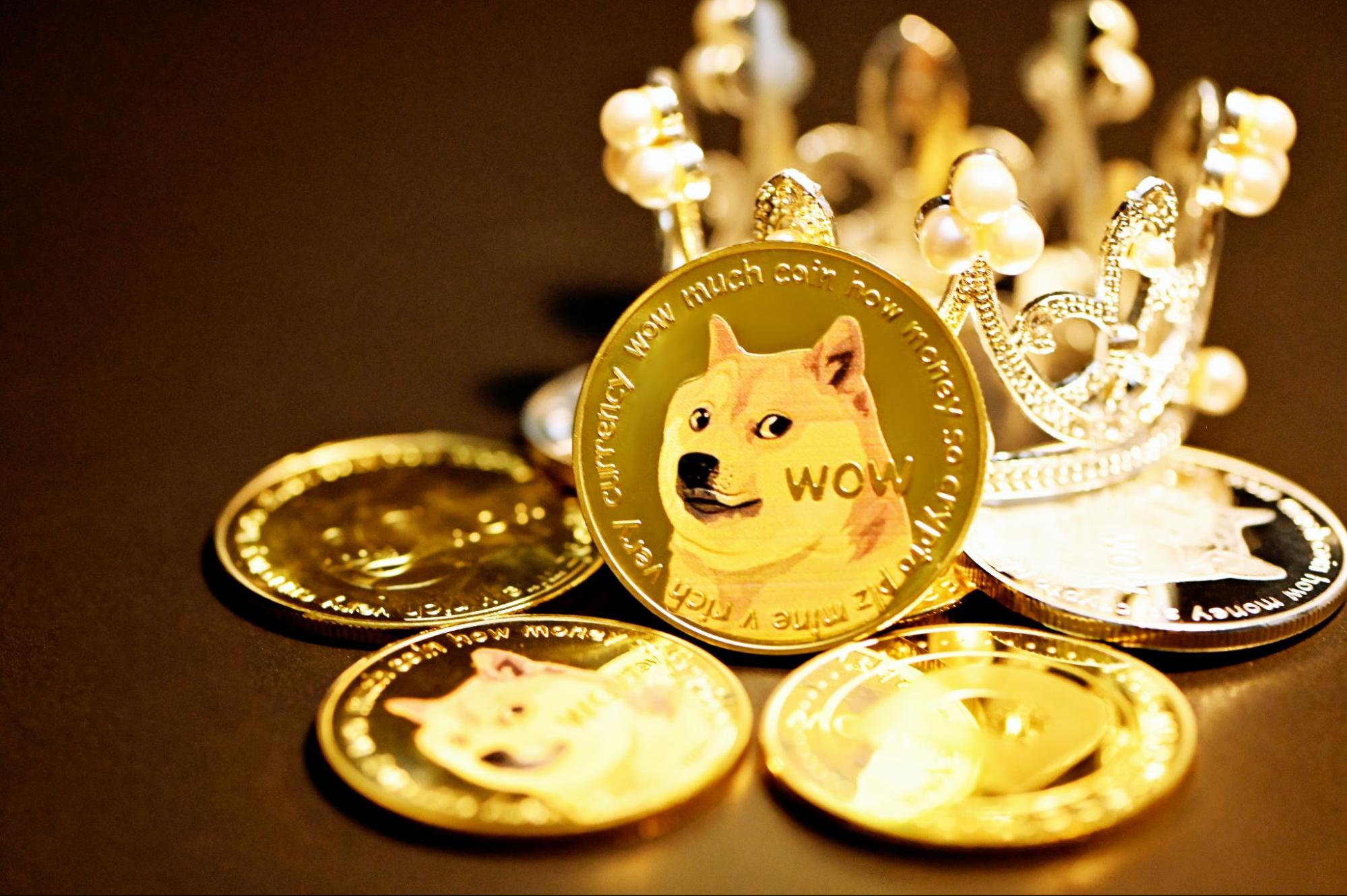 how to explain crypto much wow dogecoins for decentral publishing