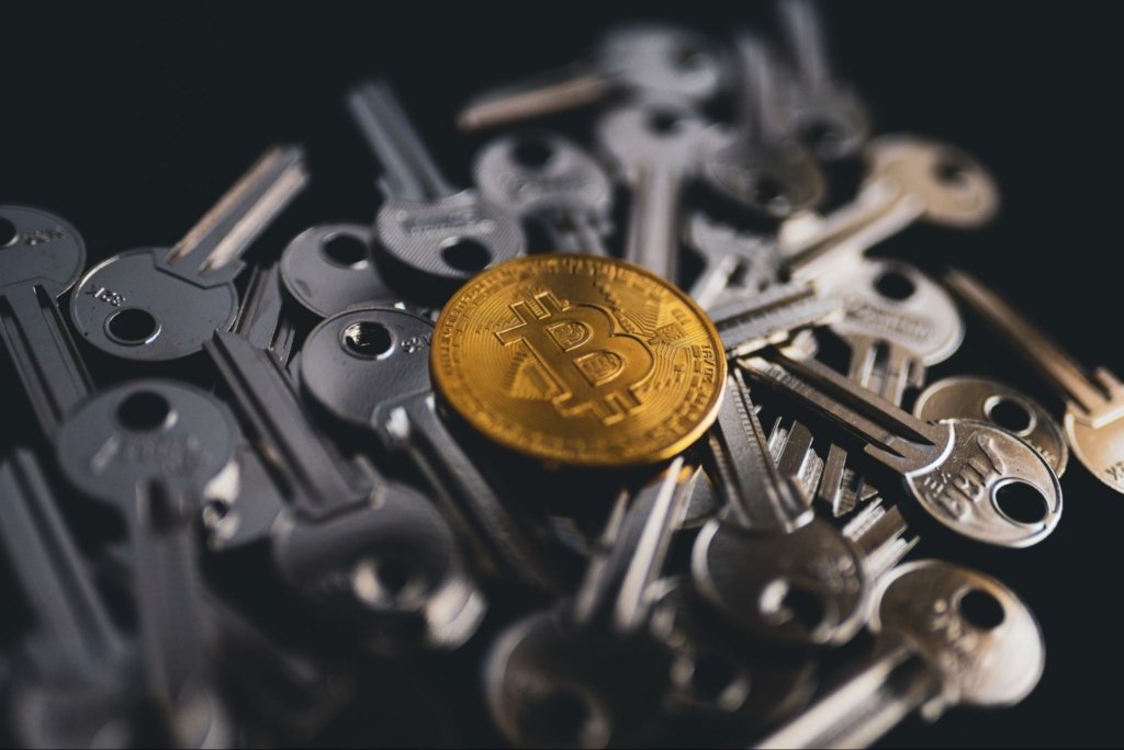 make a paper wallet cryptocurrency gold bitcitcoin keys