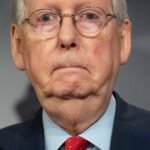 mitch mcconnell updog altcoin